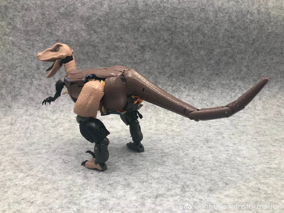Infinite Transformation IT-02 Masterpiece MP-41 Dinobot Beast War 18 Infinite Transformation IT-02 Masterpiece MP-41 Dinobot Beast War - Image 18