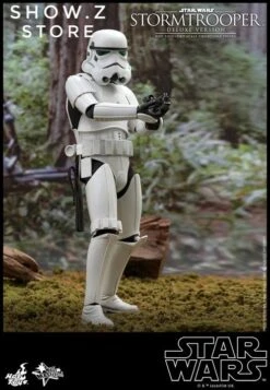 Hot Toys 1/6 Stormtrooper Storm Trooper MMS515 Star Wars Deluxe Version -MECHA REALM STORE cbf58be6a8